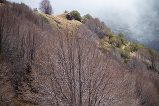 Canalone dei Faggi